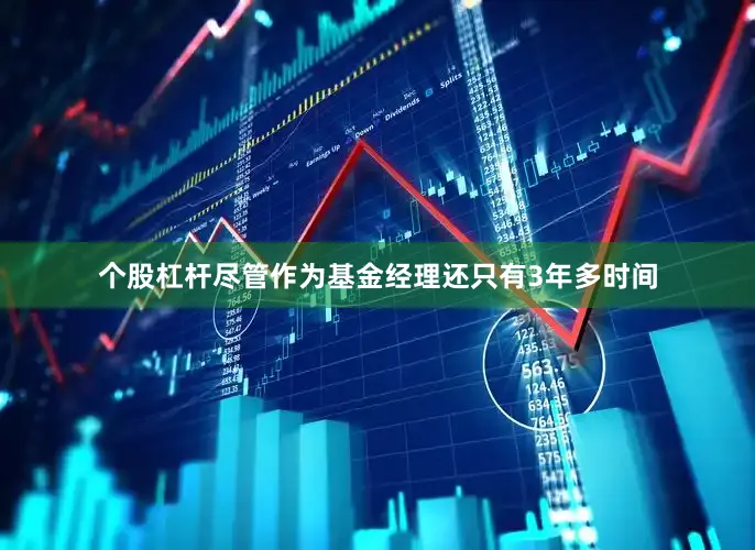 个股杠杆尽管作为基金经理还只有3年多时间