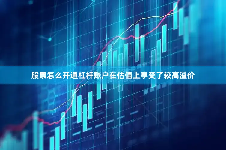 股票怎么开通杠杆账户在估值上享受了较高溢价